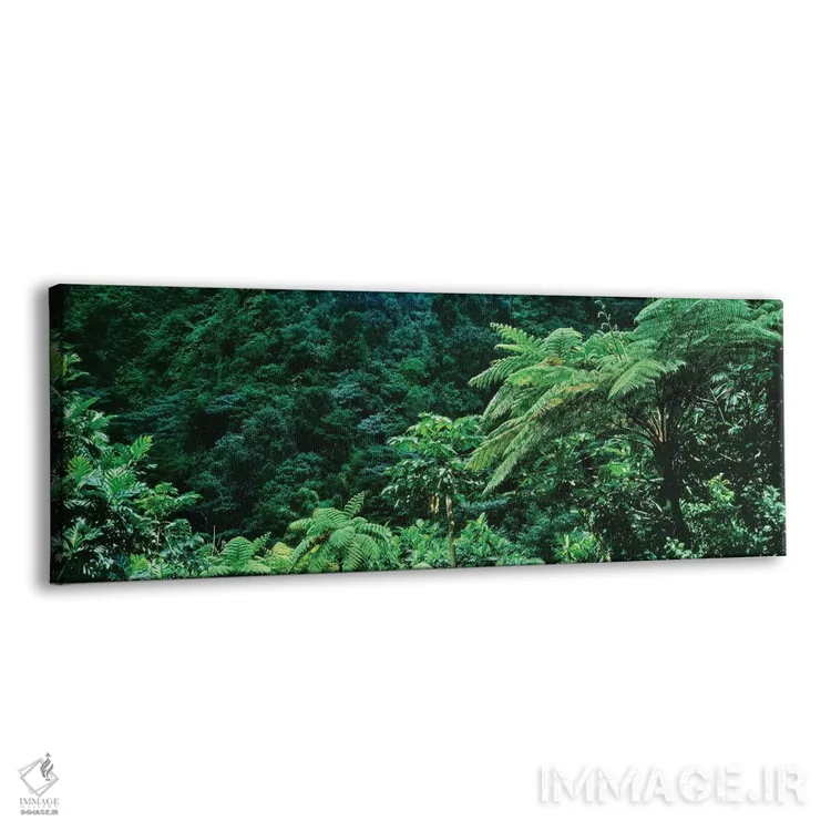 تابلو دکوراتیو Papillote Wilderness Retreat And Nature Sanctuary, Domi… اثر پانورامیک ایمجز - نمای پرسپکتیو محصول