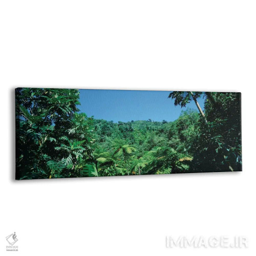 تابلو دکوراتیو Papillote Wilderness Retreat And Nature Sanctuary, Domi… اثر پانورامیک ایمجز - نمای پرسپکتیو محصول