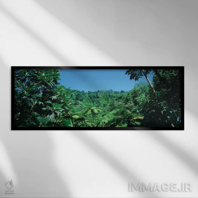 تابلو دکوراتیو Papillote Wilderness Retreat And Nature Sanctuary, Domi… اثر پانورامیک ایمجز - نمای قابدار مشکی