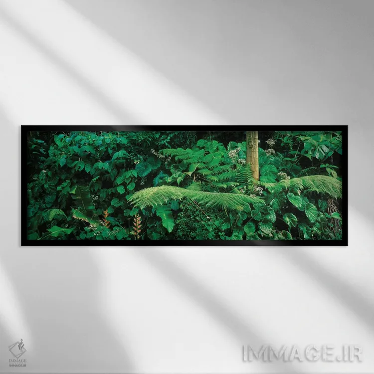 تابلو دکوراتیو Papillote Wilderness Retreat And Nature Sanctuary, Domi… اثر پانورامیک ایمجز - نمای قابدار مشکی