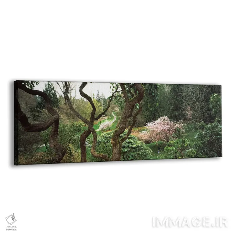 تابلو دکوراتیو Seattle, Washington State, USA I" - "پارک واشنگتن، سیات… اثر پانورامیک ایمجز - نمای پرسپکتیو محصول