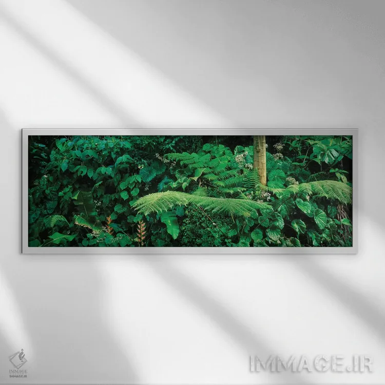 تابلو دکوراتیو Papillote Wilderness Retreat And Nature Sanctuary, Domi… اثر پانورامیک ایمجز - نمای قابدار سفید