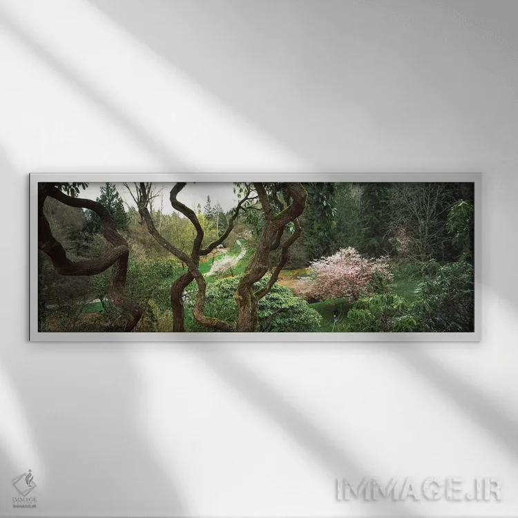 تابلو دکوراتیو Seattle, Washington State, USA I" - "پارک واشنگتن، سیات… اثر پانورامیک ایمجز - نمای قابدار سفید