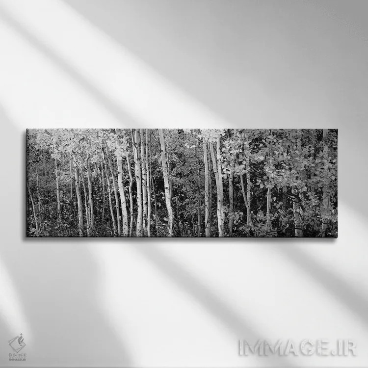 تابلو دکوراتیو "درختان آسپن و هاتورن سیاه در یک جنگل، پارک ملی گرند تی… اثر پانورامیک ایمجز - نمای روبهرو روی دیوار