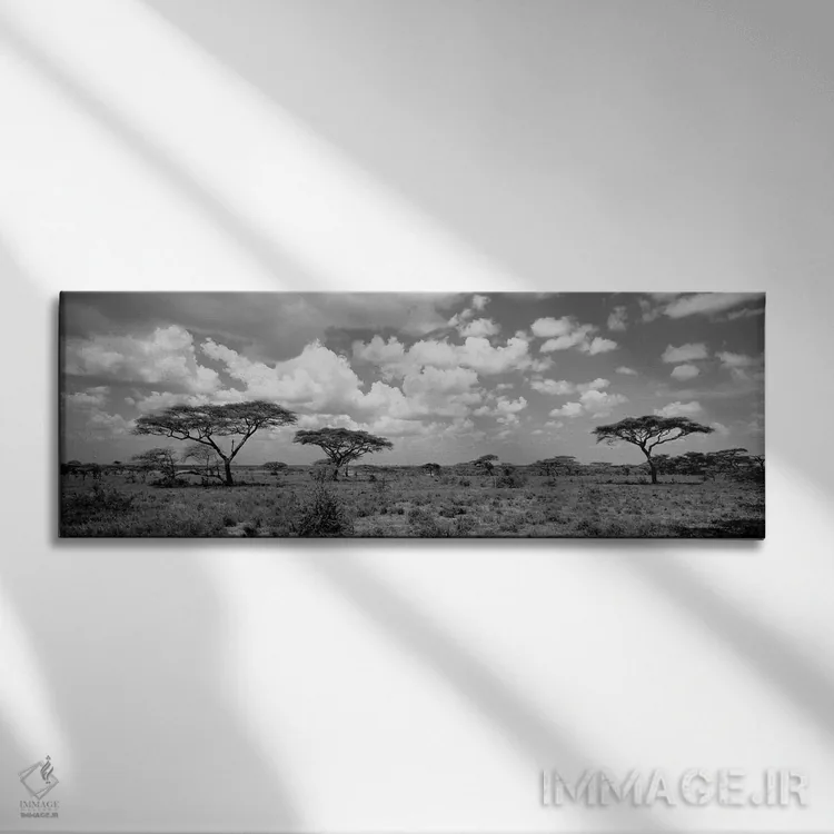 تابلو دکوراتیو "درختان آکاسیا در یک منظر، دریاچه ندوتو، تانزانیا" اثر پانورامیک ایمجز - نمای روبهرو روی دیوار