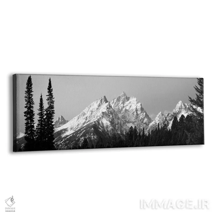 تابلو دکوراتیو "گروه کاتدرال، پارک ملی گرند تیتون، وایومینگ، ایالات مت… اثر پانورامیک ایمجز - نمای پرسپکتیو محصول