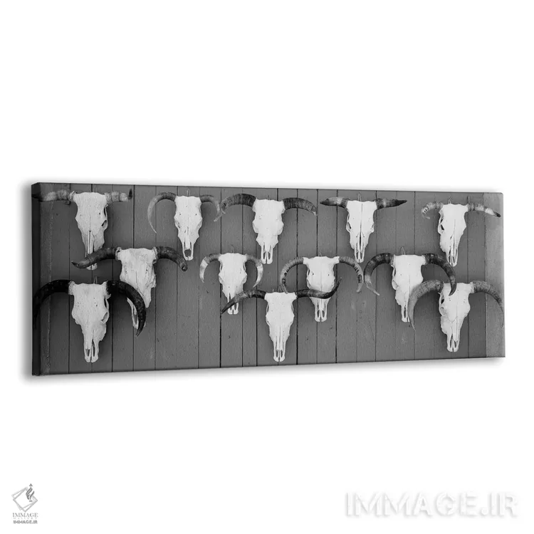 تابلو دکوراتیو "جمجمه های گاو آویزان روی تخته ها، تاووس، نیومکزیکو، ای… اثر پانورامیک ایمجز - نمای پرسپکتیو محصول