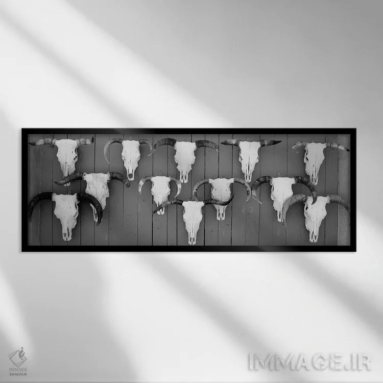 تابلو دکوراتیو "جمجمه های گاو آویزان روی تخته ها، تاووس، نیومکزیکو، ای… اثر پانورامیک ایمجز - نمای قابدار مشکی