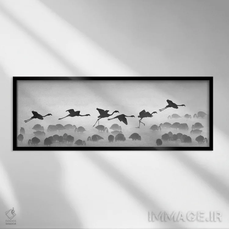 تابلو دکوراتیو "فرود فلامینگوها، کنیا" اثر پانورامیک ایمجز - نمای قابدار مشکی