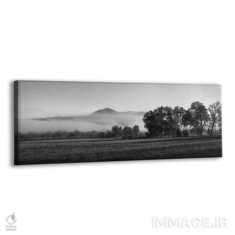 تابلو دکوراتیو "مه روی کوه، کادز کوو، پارک ملی کوه های بزرگ دودی، ایال… اثر پانورامیک ایمجز - نمای پرسپکتیو محصول
