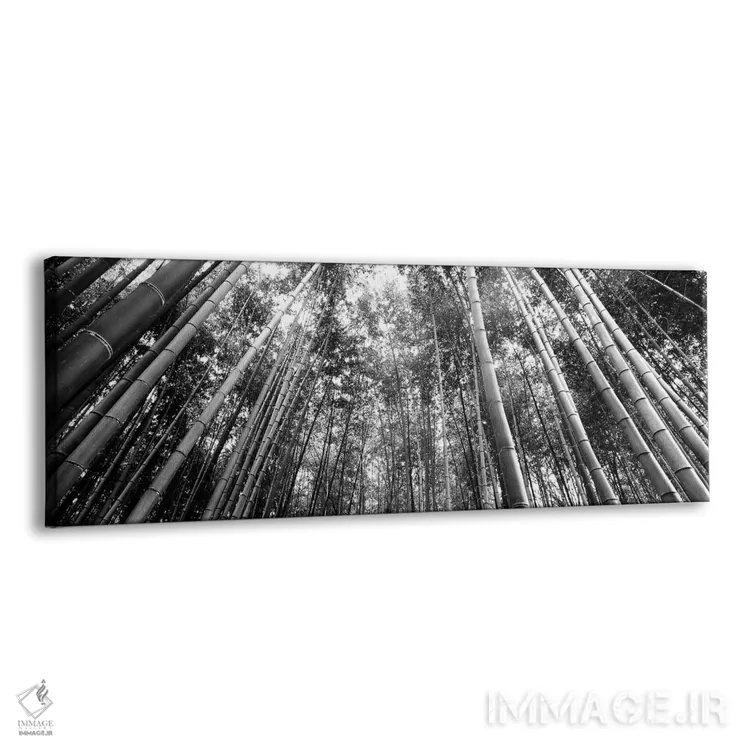 تابلو دکوراتیو "نمای زاویه پایین از درختان بامبو، آراشیاما، استان کیوت… اثر پانورامیک ایمجز - نمای پرسپکتیو محصول