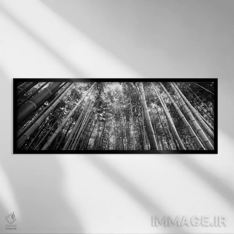 تابلو دکوراتیو "نمای زاویه پایین از درختان بامبو، آراشیاما، استان کیوت… اثر پانورامیک ایمجز - نمای قابدار مشکی
