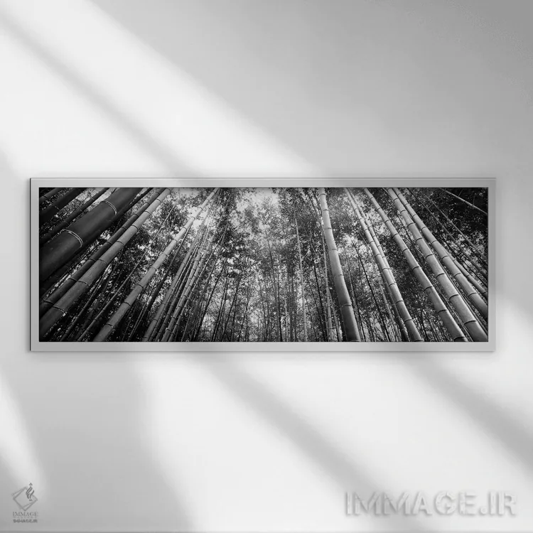 تابلو دکوراتیو "نمای زاویه پایین از درختان بامبو، آراشیاما، استان کیوت… اثر پانورامیک ایمجز - نمای قابدار سفید