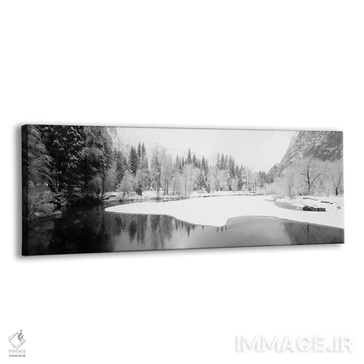 تابلو دکوراتیو "درختان پوشیده از برف در یک جنگل، پارک ملی یوسمیتی، کال… اثر پانورامیک ایمجز - نمای پرسپکتیو محصول