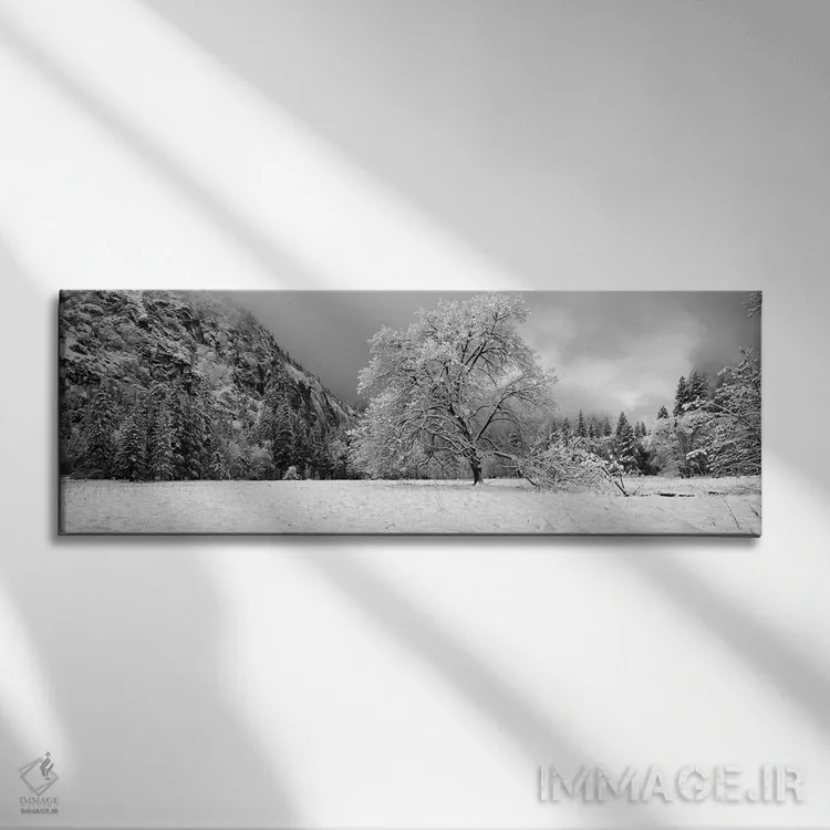 تابلو دکوراتیو "درخت بلوط پوشیده از برف در یک دره، پارک ملی یوسمیتی، ک… اثر پانورامیک ایمجز - نمای روبهرو روی دیوار
