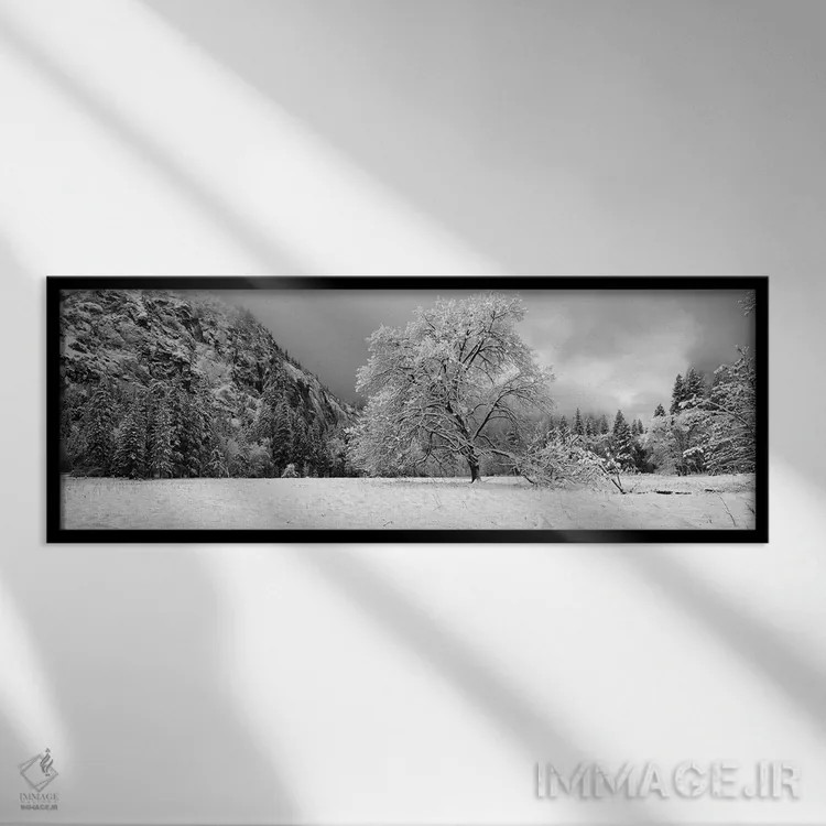 تابلو دکوراتیو "درخت بلوط پوشیده از برف در یک دره، پارک ملی یوسمیتی، ک… اثر پانورامیک ایمجز - نمای قابدار مشکی