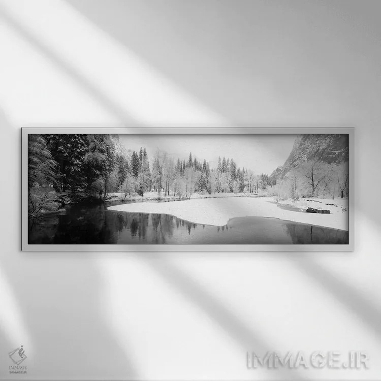 تابلو دکوراتیو "درختان پوشیده از برف در یک جنگل، پارک ملی یوسمیتی، کال… اثر پانورامیک ایمجز - نمای قابدار سفید