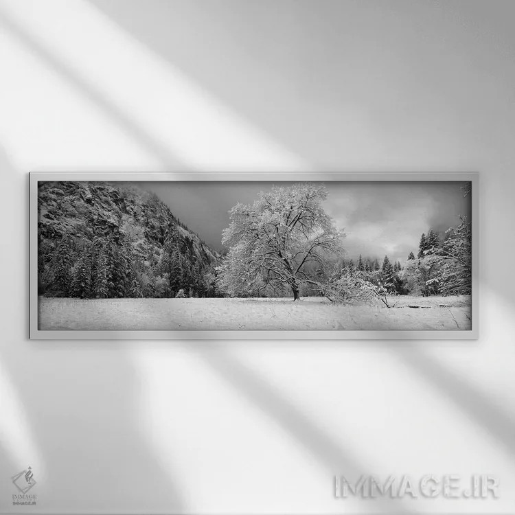 تابلو دکوراتیو "درخت بلوط پوشیده از برف در یک دره، پارک ملی یوسمیتی، ک… اثر پانورامیک ایمجز - نمای قابدار سفید
