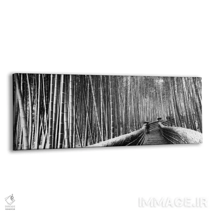 تابلو دکوراتیو "پیاده روی پله ای که از یک جنگل بامبو عبور می کند، آراش… اثر پانورامیک ایمجز - نمای پرسپکتیو محصول