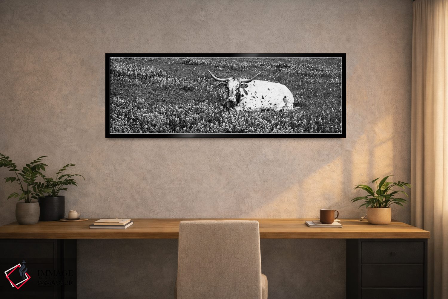 تابلو دکوراتیو "گاو لانگ هورن تگزاس نشسته در یک زمین، شهرستان هیل، تگز… اثر پانورامیک ایمجز - D2B