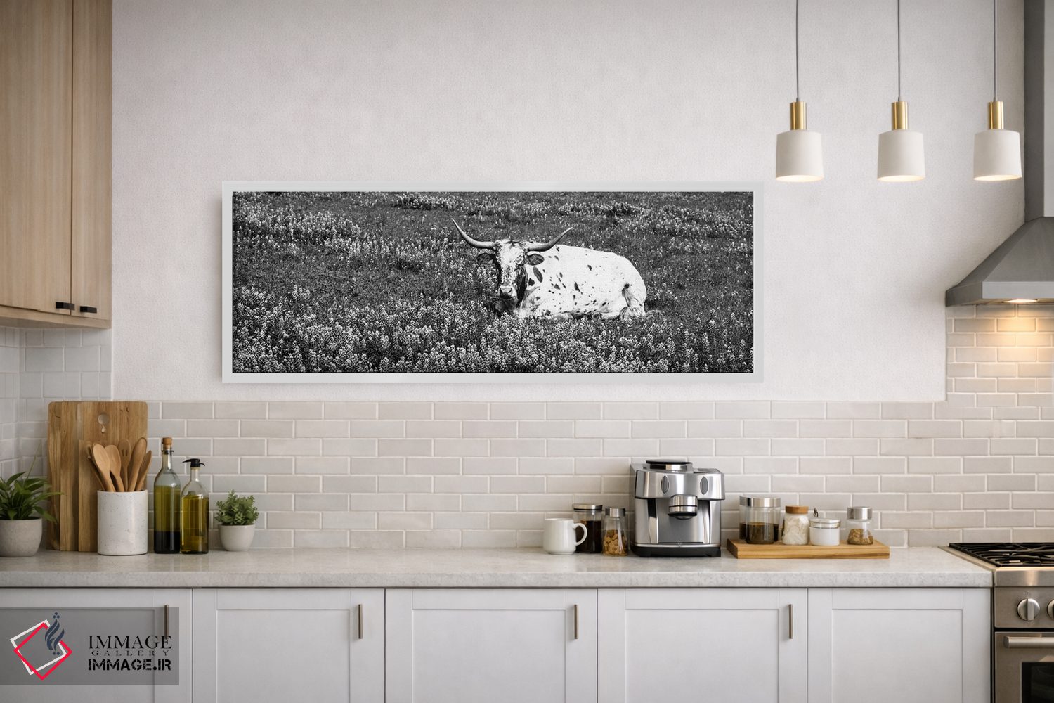 تابلو دکوراتیو "گاو لانگ هورن تگزاس نشسته در یک زمین، شهرستان هیل، تگز… اثر پانورامیک ایمجز - D1W