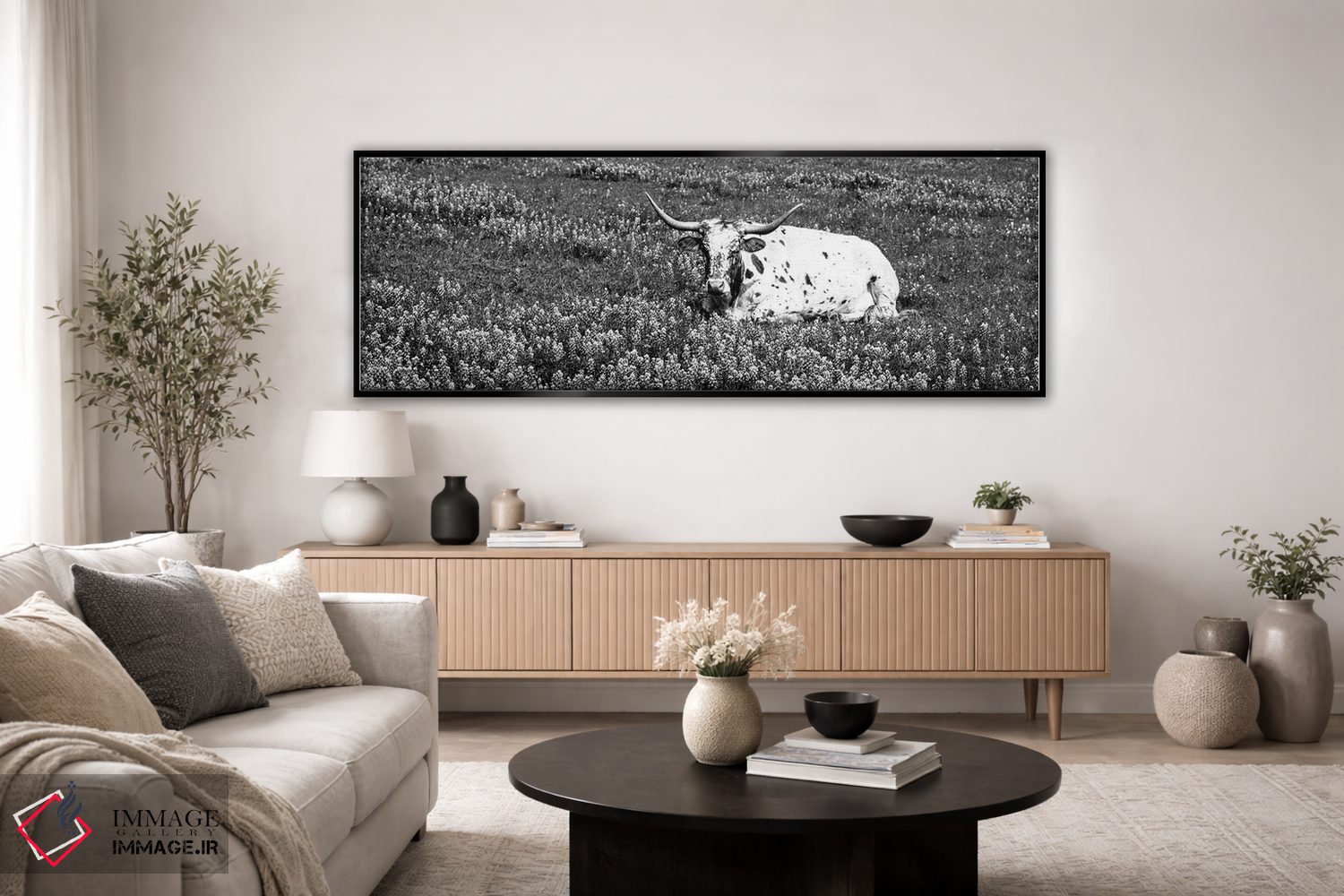 تابلو دکوراتیو "گاو لانگ هورن تگزاس نشسته در یک زمین، شهرستان هیل، تگز… اثر پانورامیک ایمجز - D5B