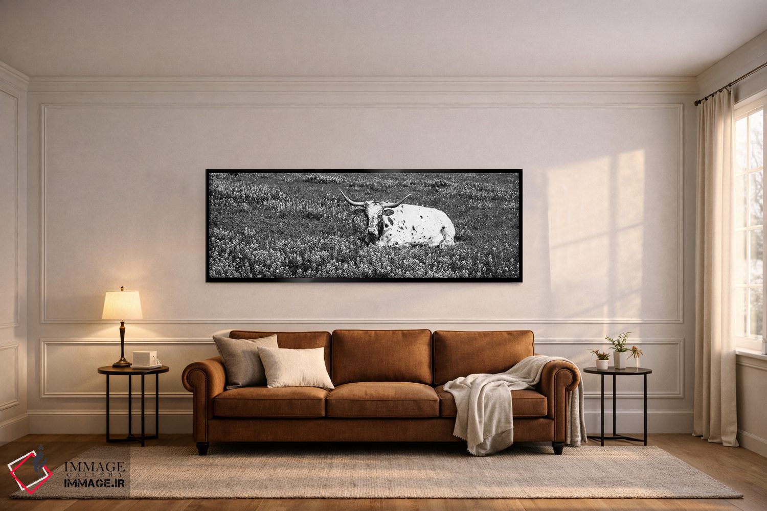 تابلو دکوراتیو "گاو لانگ هورن تگزاس نشسته در یک زمین، شهرستان هیل، تگز… اثر پانورامیک ایمجز - D6B