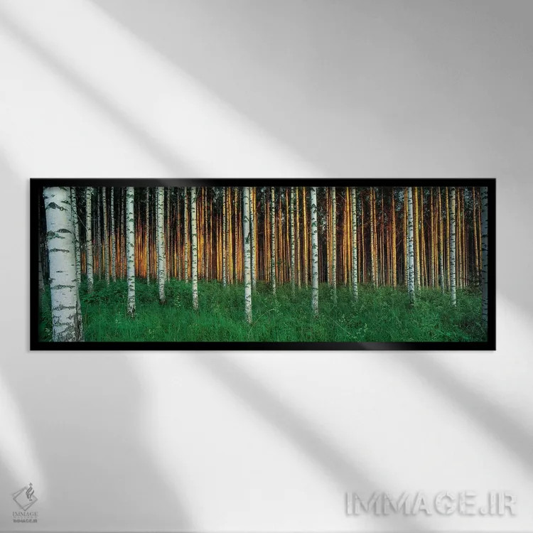 تابلو دکوراتیو درختان بید، دریاچه سیما، ناحیه دریاچه ای، فنلاند اثر پانورامیک ایمجز - نمای قابدار مشکی