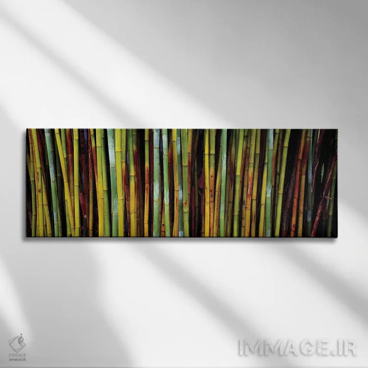 تابلو دکوراتیو نمای نزدیک از بامبوها، باغ های گیاه شناسی کاناپاها، گین… اثر پانورامیک ایمجز - نمای روبهرو روی دیوار
