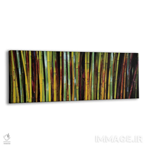 تابلو دکوراتیو نمای نزدیک از بامبوها، باغ های گیاه شناسی کاناپاها، گین… اثر پانورامیک ایمجز - نمای پرسپکتیو محصول