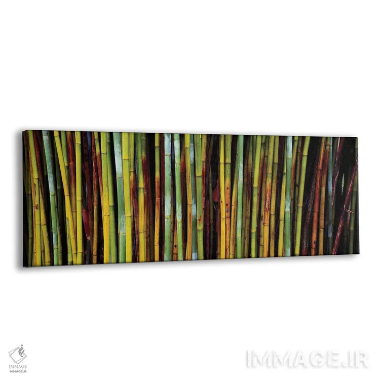 تابلو دکوراتیو نمای نزدیک از بامبوها، باغ های گیاه شناسی کاناپاها، گین… اثر پانورامیک ایمجز - نمای پرسپکتیو محصول