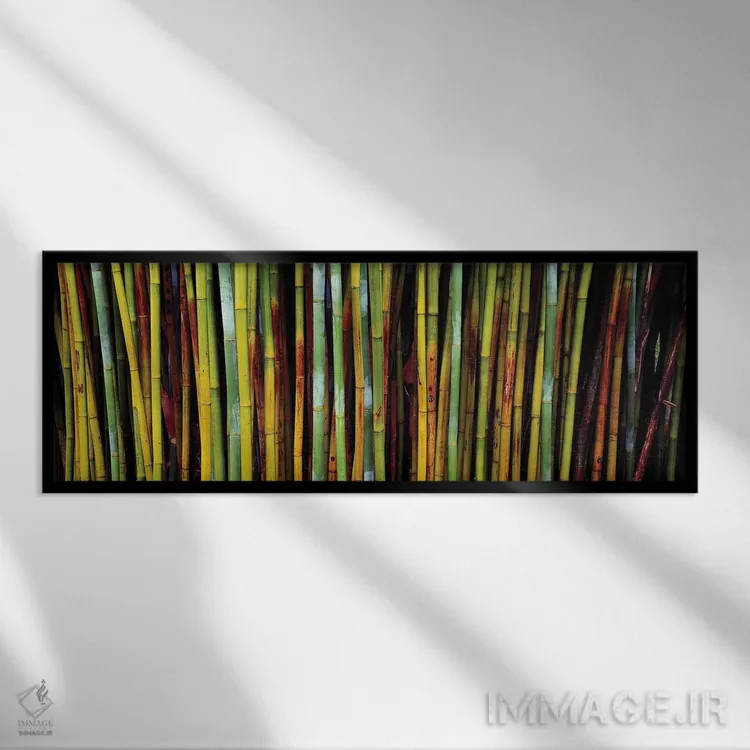 تابلو دکوراتیو نمای نزدیک از بامبوها، باغ های گیاه شناسی کاناپاها، گین… اثر پانورامیک ایمجز - نمای قابدار مشکی