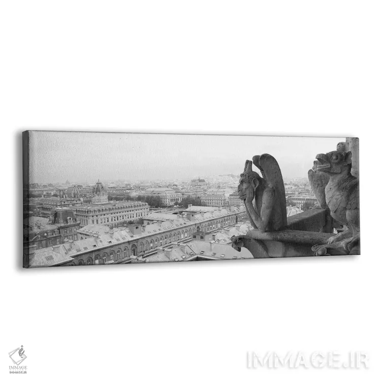 تابلو دکوراتیو مجسمه گارگویل در کلیسا، نوتردام، پاریس، ایل-دو-فرانس، ف… اثر پانورامیک ایمجز - نمای پرسپکتیو محصول