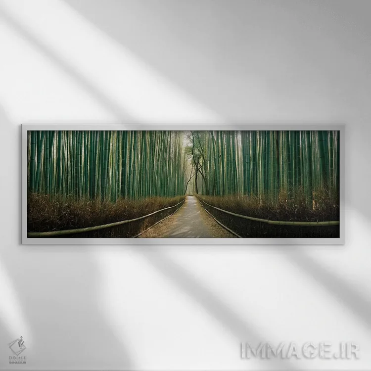 تابلو دکوراتیو جنگل بامبو آراشی یاما، استان کیوتو، منطقه کینکی، هونشو… اثر پانورامیک ایمجز - نمای قابدار سفید