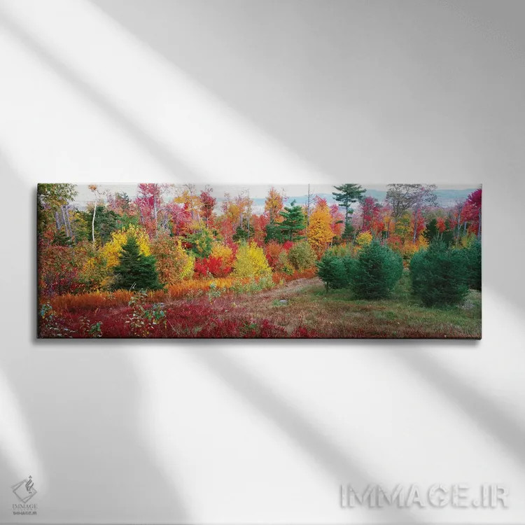 تابلو دکوراتیو Lincolnville, Waldo County, Maine, USA" - "درختان کریسم… اثر پانورامیک ایمجز - نمای روبهرو روی دیوار