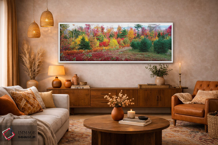 تابلو دکوراتیو Lincolnville, Waldo County, Maine, USA" - "درختان کریسم… اثر پانورامیک ایمجز - D4W