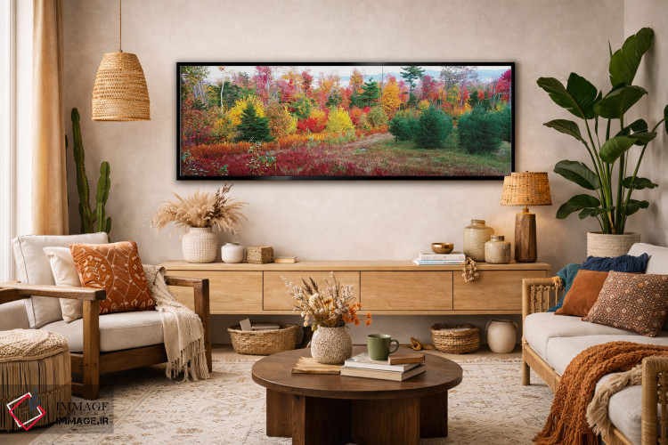 تابلو دکوراتیو Lincolnville, Waldo County, Maine, USA" - "درختان کریسم… اثر پانورامیک ایمجز - D3B