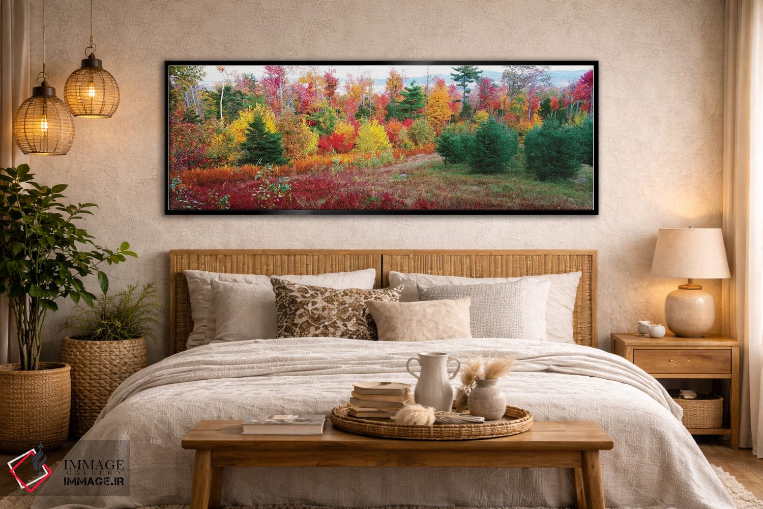 تابلو دکوراتیو Lincolnville, Waldo County, Maine, USA" - "درختان کریسم… اثر پانورامیک ایمجز - D5B