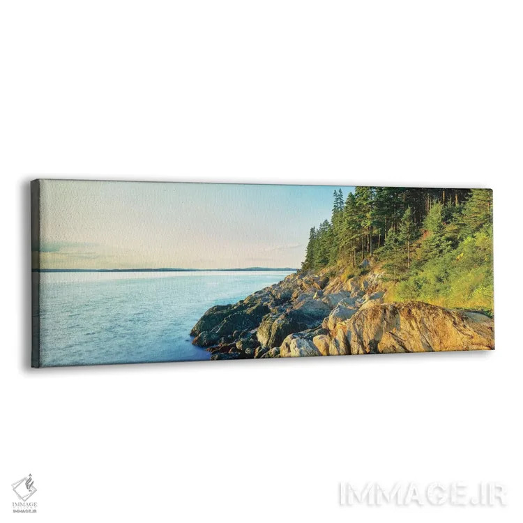 تابلو دکوراتیو Acadia National Park, Maine, USA" - "خط ساحلی، پارک ملی… اثر پانورامیک ایمجز - نمای پرسپکتیو محصول