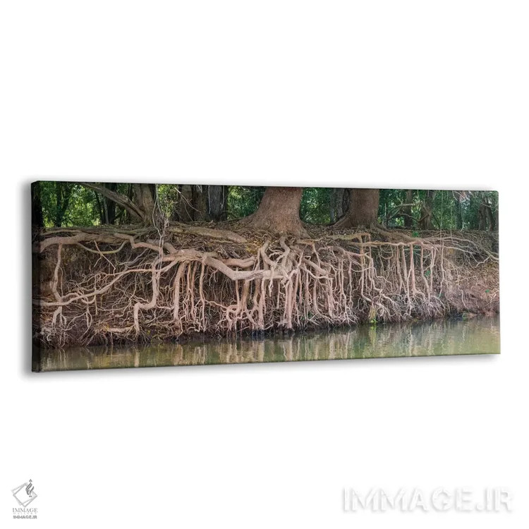 تابلو دکوراتیو Pantanal wetland region, Brazil, South America" - "ریشه… اثر پانورامیک ایمجز - نمای پرسپکتیو محصول