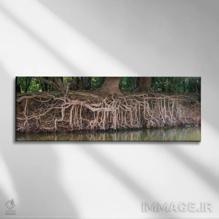 تابلو دکوراتیو Pantanal wetland region, Brazil, South America" - "ریشه… اثر پانورامیک ایمجز - نمای روبهرو روی دیوار