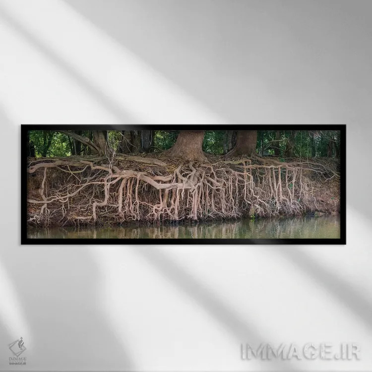 تابلو دکوراتیو Pantanal wetland region, Brazil, South America" - "ریشه… اثر پانورامیک ایمجز - نمای قابدار مشکی