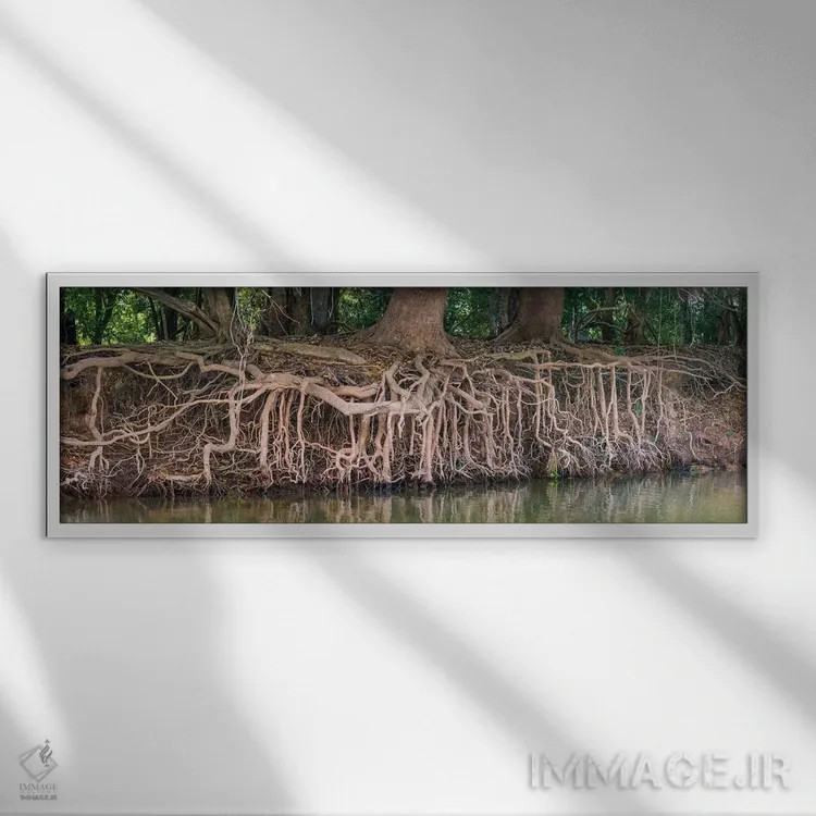 تابلو دکوراتیو Pantanal wetland region, Brazil, South America" - "ریشه… اثر پانورامیک ایمجز - نمای قابدار سفید