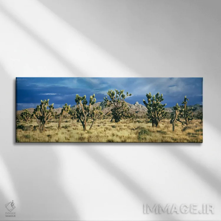 تابلو دکوراتیو Mojave Desert, San Bernardino County, California, USA"… اثر پانورامیک ایمجز - نمای روبهرو روی دیوار