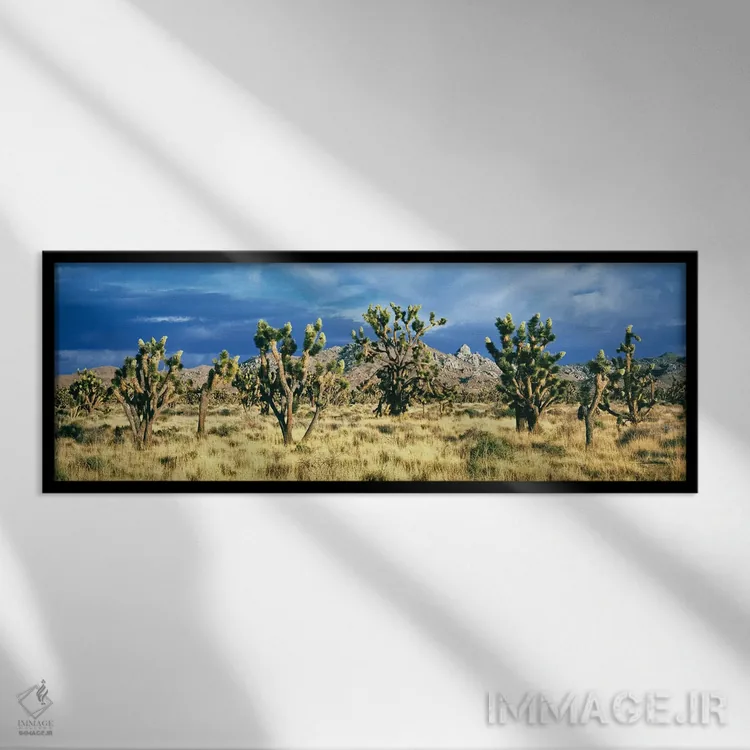 تابلو دکوراتیو Mojave Desert, San Bernardino County, California, USA"… اثر پانورامیک ایمجز - نمای قابدار مشکی