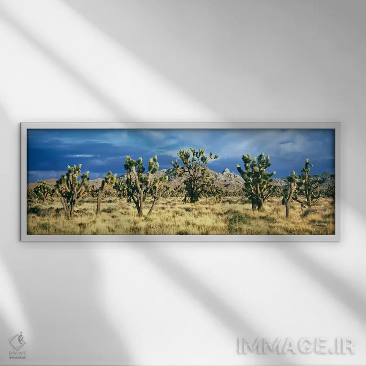 تابلو دکوراتیو Mojave Desert, San Bernardino County, California, USA"… اثر پانورامیک ایمجز - نمای قابدار سفید