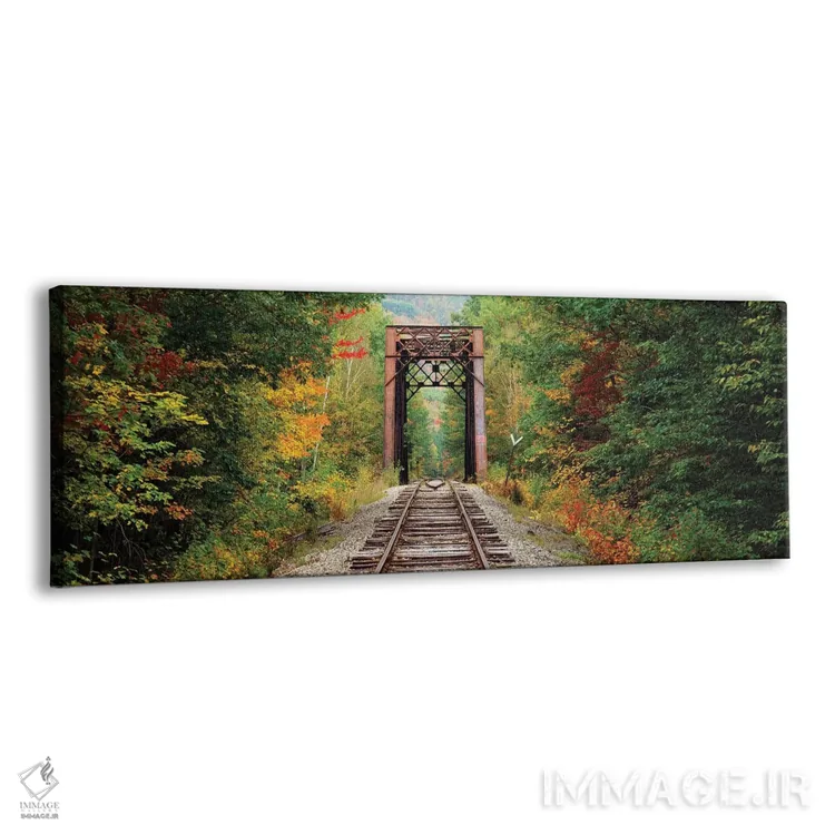 تابلو دکوراتیو ریل راه آهن که از میان جنگلی می گذرد، جنگل ملی کوه های… اثر پانورامیک ایمجز - نمای پرسپکتیو محصول