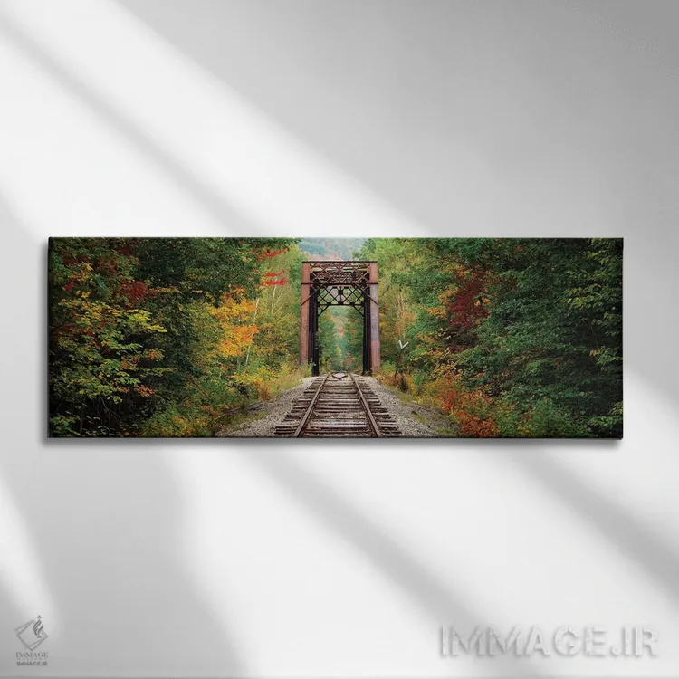 تابلو دکوراتیو ریل راه آهن که از میان جنگلی می گذرد، جنگل ملی کوه های… اثر پانورامیک ایمجز - نمای روبهرو روی دیوار