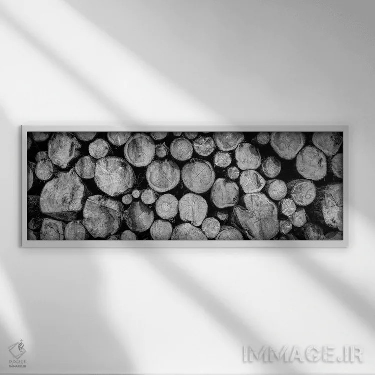 تابلو دکوراتیو توده ای از تنه درختان در نمای نزدیک، فریدن اشتات، بادن… اثر پانورامیک ایمجز - نمای قابدار سفید