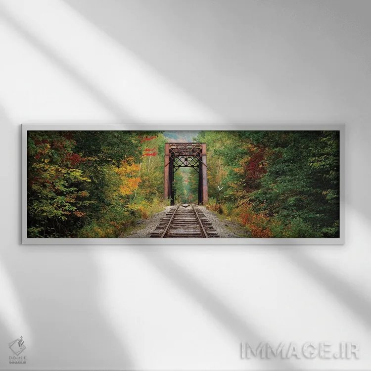 تابلو دکوراتیو ریل راه آهن که از میان جنگلی می گذرد، جنگل ملی کوه های… اثر پانورامیک ایمجز - نمای قابدار سفید